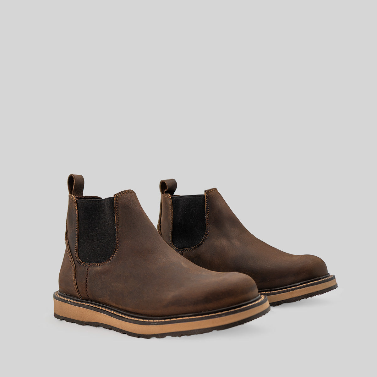 LOBO OCRE
