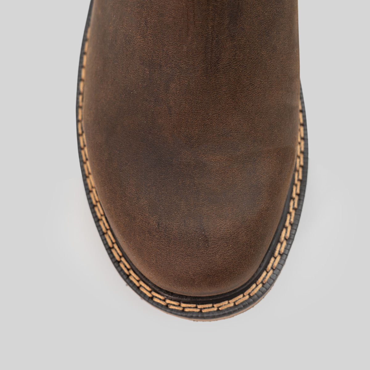 LOBO OCRE